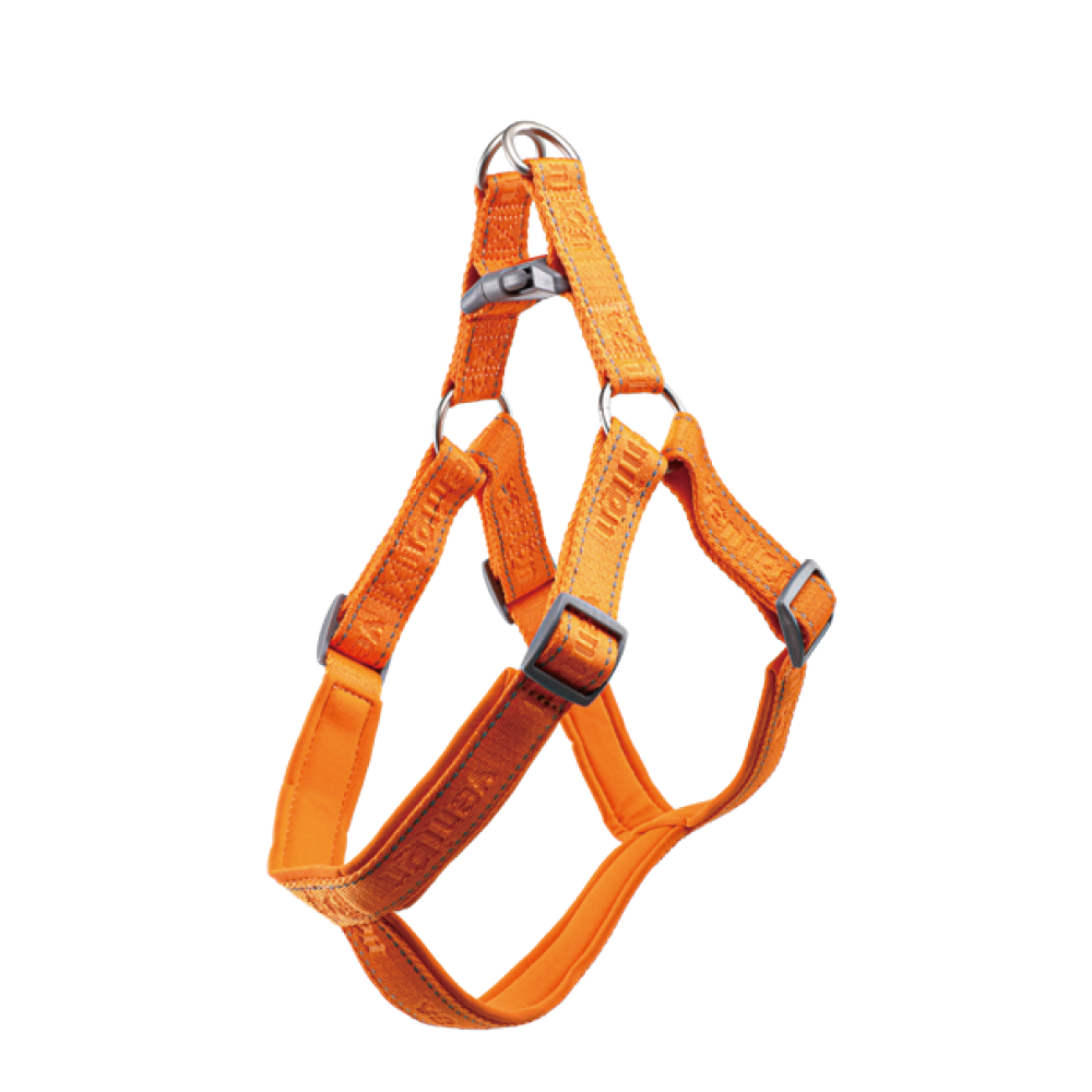 Harness for Dogs